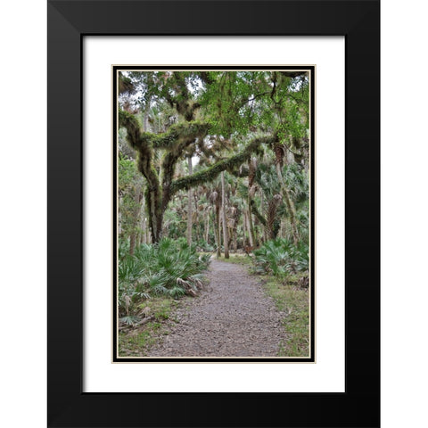 USA-Florida-Sarasota-Myakka River State Park Black Modern Wood Framed Art Print with Double Matting by Looney, Hollice