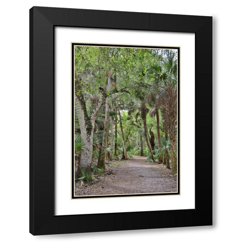 USA-Florida-Sarasota-Myakka River State Park Black Modern Wood Framed Art Print with Double Matting by Looney, Hollice