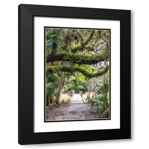 USA-Florida-Sarasota-Myakka River State Park Black Modern Wood Framed Art Print with Double Matting by Looney, Hollice