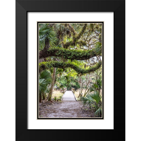 USA-Florida-Sarasota-Myakka River State Park Black Modern Wood Framed Art Print with Double Matting by Looney, Hollice