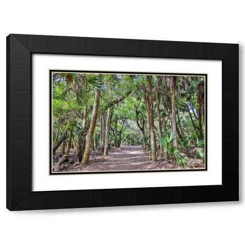 USA-Florida-Sarasota-Myakka River State Park Black Modern Wood Framed Art Print with Double Matting by Looney, Hollice