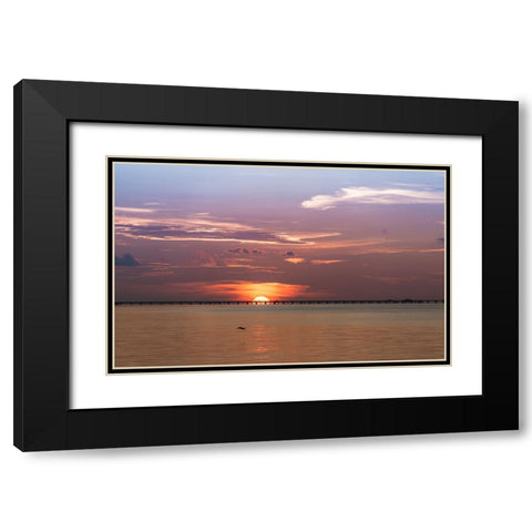The sun rising behind the Skyway Bridge stunning purple sky and reflection on the Gulf of Mexico Black Modern Wood Framed Art Print with Double Matting by Haddad, Sheila