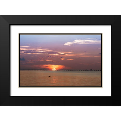 The sun rising behind the Skyway Bridge stunning purple sky and reflection on the Gulf of Mexico Black Modern Wood Framed Art Print with Double Matting by Haddad, Sheila