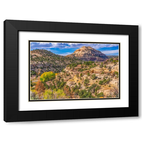 Colorful Autumn-Canyonlands National Park-Needles District-Utah Black Modern Wood Framed Art Print with Double Matting by Perry, William