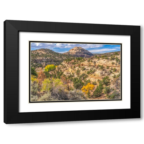 Colorful Autumn-Canyonlands National Park-Needles District-Utah Black Modern Wood Framed Art Print with Double Matting by Perry, William