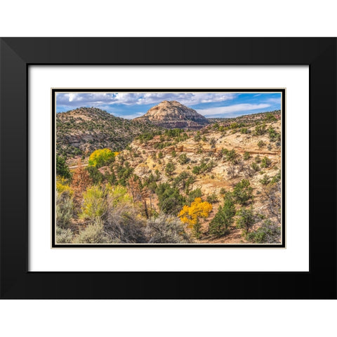 Colorful Autumn-Canyonlands National Park-Needles District-Utah Black Modern Wood Framed Art Print with Double Matting by Perry, William