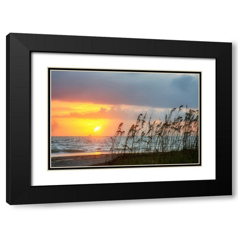 Sunrise on Atlantic Beach Black Modern Wood Framed Art Print with Double Matting by Miller, Anna