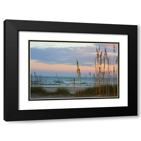 Sea Oats against Sunset Sky-Tybee Island-Georgia-USA Black Modern Wood Framed Art Print with Double Matting by Miller, Anna