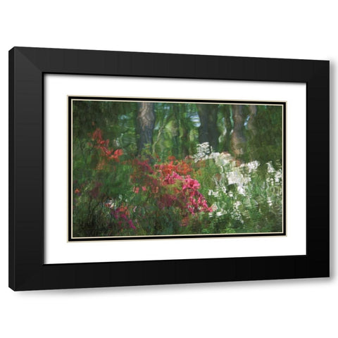 USA, Georgia, Azalea reflection in pond Black Modern Wood Framed Art Print with Double Matting by Rotenberg, Nancy