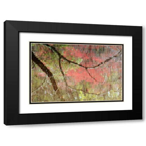 Georgia, Reflections of early spring buds in pond Black Modern Wood Framed Art Print with Double Matting by Rotenberg, Nancy
