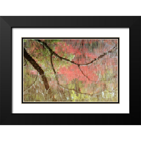 Georgia, Reflections of early spring buds in pond Black Modern Wood Framed Art Print with Double Matting by Rotenberg, Nancy