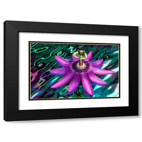 GA, Alpharetta Passion flower on stained glass Black Modern Wood Framed Art Print with Double Matting by Needle, Charles