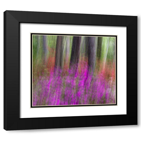 Colorful blurred garden abstract, Georgia Black Modern Wood Framed Art Print with Double Matting by Rotenberg, Nancy