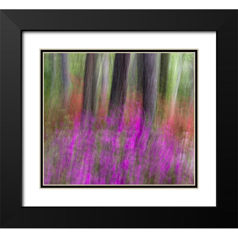 Colorful blurred garden abstract, Georgia Black Modern Wood Framed Art Print with Double Matting by Rotenberg, Nancy