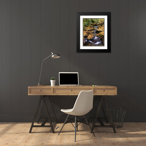 Georgia, Cherokee NF Small creek in autumn Black Modern Wood Framed Art Print with Double Matting by Flaherty, Dennis