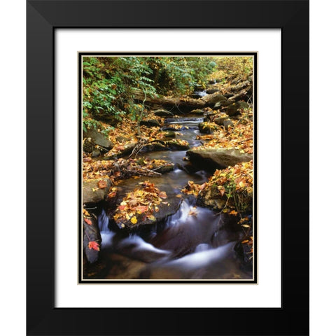Georgia, Cherokee NF Small creek in autumn Black Modern Wood Framed Art Print with Double Matting by Flaherty, Dennis