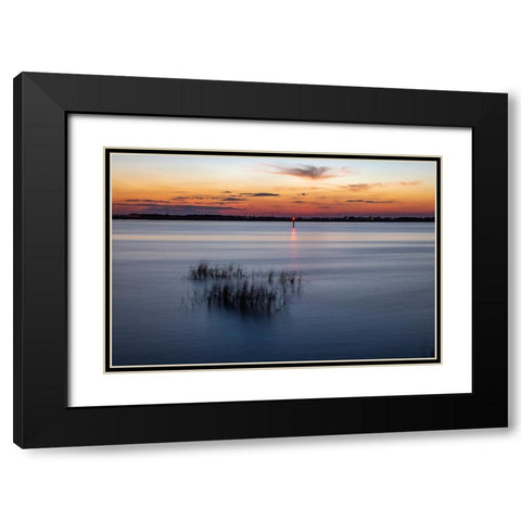 USA-Georgia-Jekyll Island-Sunset at Driftwood Beach and the petrified trees Black Modern Wood Framed Art Print with Double Matting by Looney, Hollice