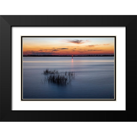 USA-Georgia-Jekyll Island-Sunset at Driftwood Beach and the petrified trees Black Modern Wood Framed Art Print with Double Matting by Looney, Hollice