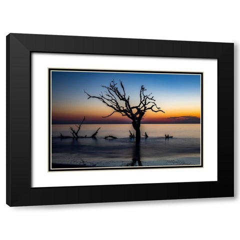 USA-Georgia-Jekyll Island-Sunrise on Driftwood Beach of petrified trees Black Modern Wood Framed Art Print with Double Matting by Looney, Hollice