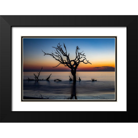 USA-Georgia-Jekyll Island-Sunrise on Driftwood Beach of petrified trees Black Modern Wood Framed Art Print with Double Matting by Looney, Hollice