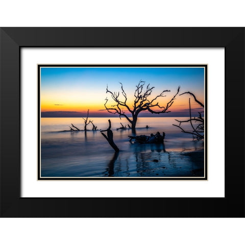 USA-Georgia-Jekyll Island-Sunrise on Driftwood Beach of petrified trees Black Modern Wood Framed Art Print with Double Matting by Looney, Hollice