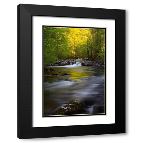 Tennessee Great Smoky Mountains National Park-Little River Black Modern Wood Framed Art Print with Double Matting by Wells, Joanne