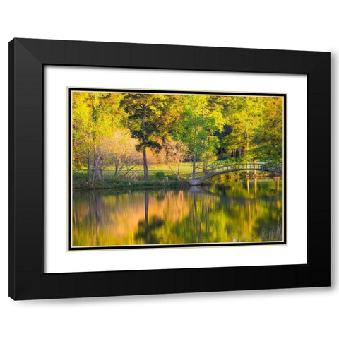 Georgia-Callaway gardens springtime Black Modern Wood Framed Art Print with Double Matting by Gulin, Sylvia