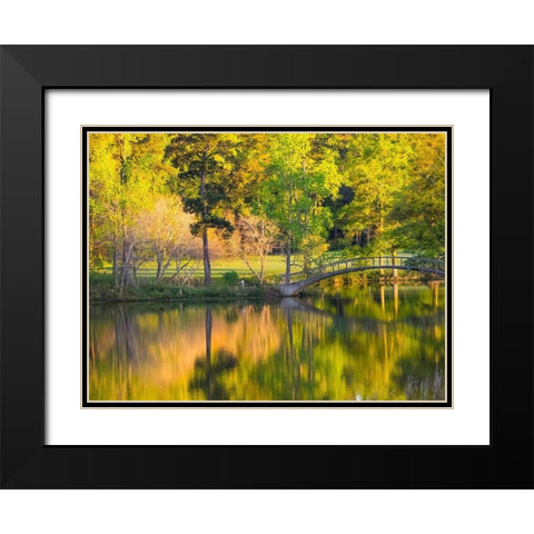 Georgia-Callaway gardens springtime Black Modern Wood Framed Art Print with Double Matting by Gulin, Sylvia