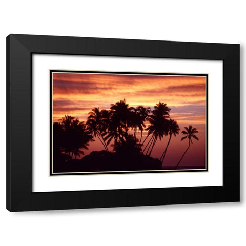 USA, Hawaii, Big Island Sunset over palm grove Black Modern Wood Framed Art Print with Double Matting by Ross, Nancy ,  Steve