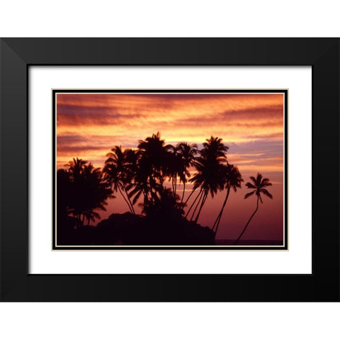 USA, Hawaii, Big Island Sunset over palm grove Black Modern Wood Framed Art Print with Double Matting by Ross, Nancy ,  Steve