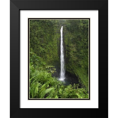 USA, Hawaii, Hilo View if Akaka Falls Black Modern Wood Framed Art Print with Double Matting by Kaveney, Wendy