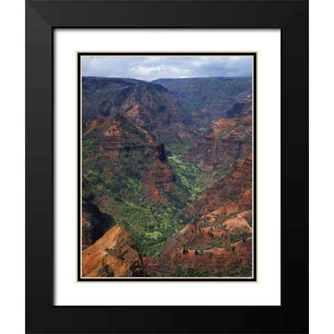 USA, Hawaii, Kauai Waimea Canyon overlook Black Modern Wood Framed Art Print with Double Matting by Flaherty, Dennis