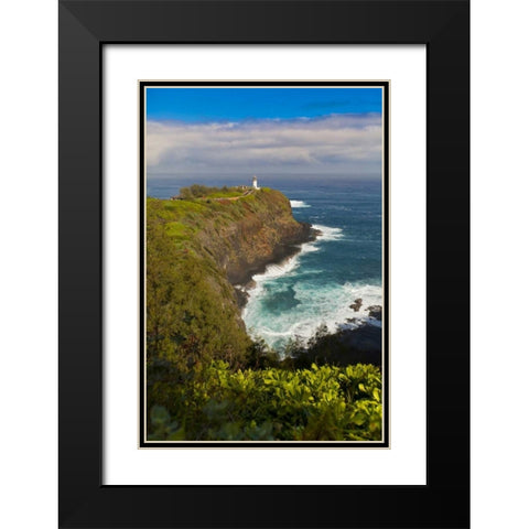 HI, Kauai Kilauea Lighthouse Black Modern Wood Framed Art Print with Double Matting by Lord, Fred
