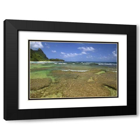 Hawaii, Kauai Coral formations on Tunnels Beach Black Modern Wood Framed Art Print with Double Matting by Flaherty, Dennis