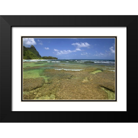 Hawaii, Kauai Coral formations on Tunnels Beach Black Modern Wood Framed Art Print with Double Matting by Flaherty, Dennis
