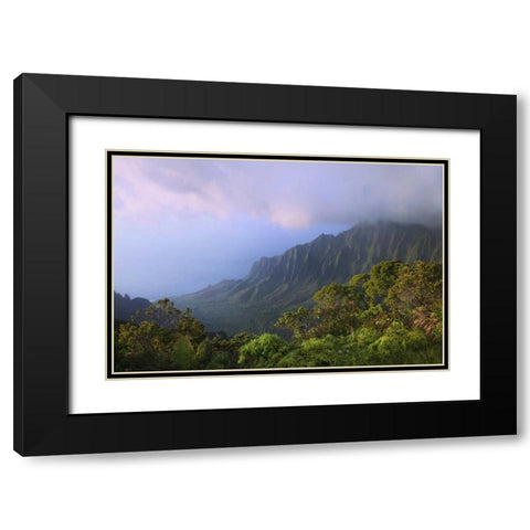 Hawaii, Kauai Kalalau Overlook of Na Pali Coast Black Modern Wood Framed Art Print with Double Matting by Flaherty, Dennis