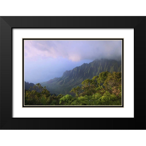 Hawaii, Kauai Kalalau Overlook of Na Pali Coast Black Modern Wood Framed Art Print with Double Matting by Flaherty, Dennis