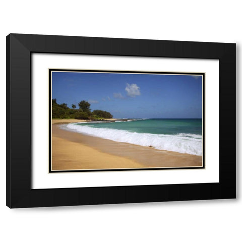 USA, Hawaii, Kauai Wave breaks on deserted beach Black Modern Wood Framed Art Print with Double Matting by Flaherty, Dennis