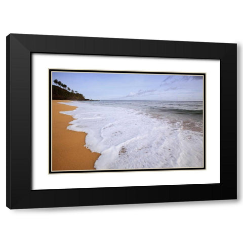 USA, Hawaii, Kauai Scenic of Secret Beach Black Modern Wood Framed Art Print with Double Matting by Flaherty, Dennis