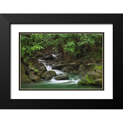 Hawaii, Kauai Creek flowing from a rainforest Black Modern Wood Framed Art Print with Double Matting by Flaherty, Dennis