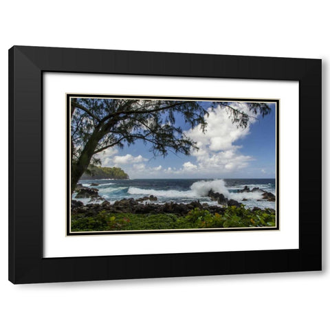 HI, Big Island Wave crashing on shore rocks Black Modern Wood Framed Art Print with Double Matting by Illg, Cathy and Gordon