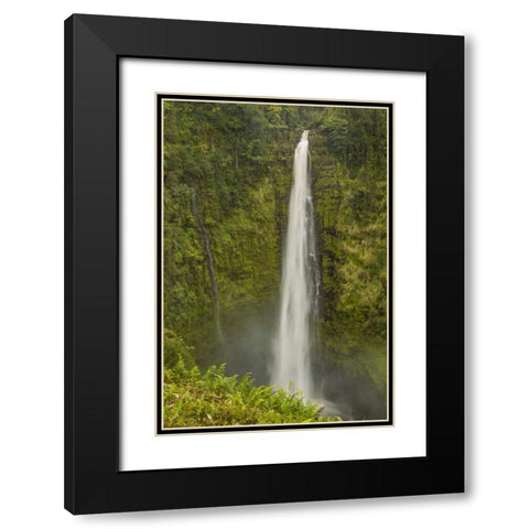 HI, Big Island, Akaka Falls SP, Akaka Falls Black Modern Wood Framed Art Print with Double Matting by Illg, Cathy and Gordon