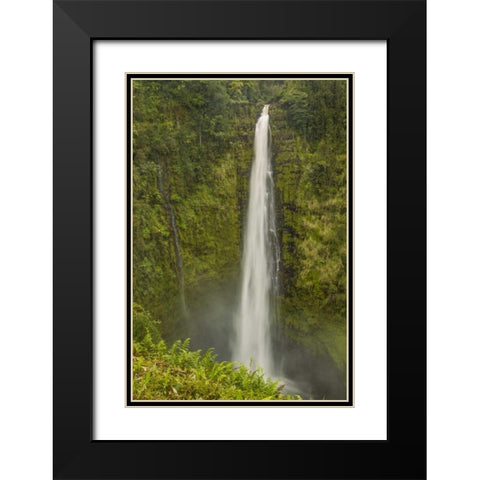 HI, Big Island, Akaka Falls SP, Akaka Falls Black Modern Wood Framed Art Print with Double Matting by Illg, Cathy and Gordon