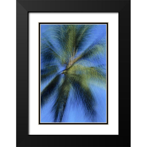 USA, Hawaii Palm tree montage Black Modern Wood Framed Art Print with Double Matting by Bush, Marie