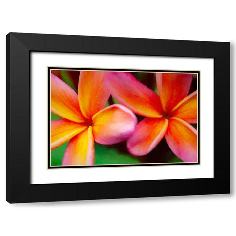 Hawaii-Kauai Abstract of plumeria flowers Black Modern Wood Framed Art Print with Double Matting by Jaynes Gallery