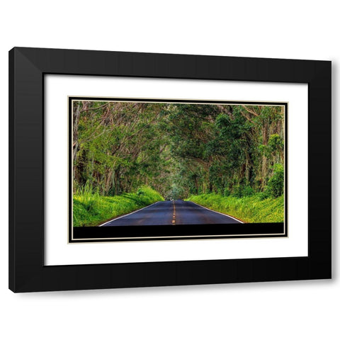 Tree tunnel of Eucalyptus trees line Maliuhi Road near Koloa in Kauai-Hawaii-USA Black Modern Wood Framed Art Print with Double Matting by Haney, Chuck
