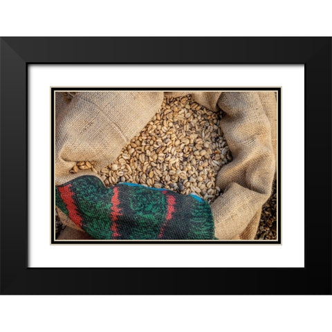 Kauai Coffee beans drying-Kauai-Hawaii-USA Black Modern Wood Framed Art Print with Double Matting by Engelbrecht, Jim