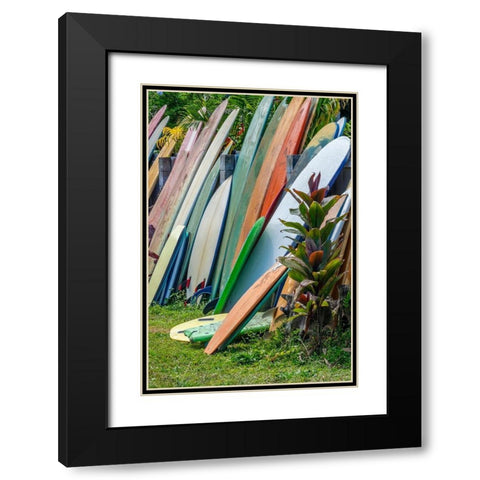 Surfboards and bodyboards-Kauai-Hawaii-USA Black Modern Wood Framed Art Print with Double Matting by Engelbrecht, Jim