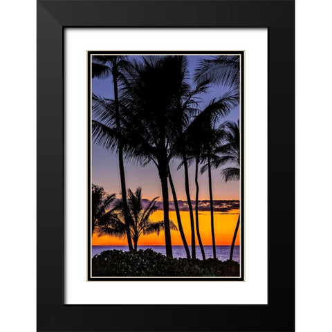 Tropical Sunset Black Modern Wood Framed Art Print with Double Matting by Engelbrecht, Jim