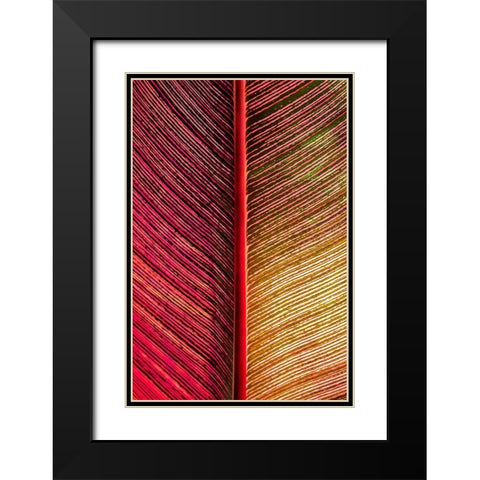 Tropical Vibes Black Modern Wood Framed Art Print with Double Matting by Engelbrecht, Lisa S.